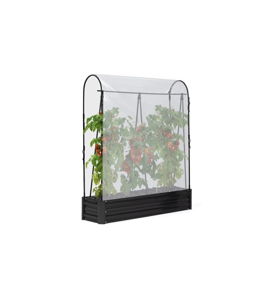 Set of 2 Metal Tomato Greenhouses - Black