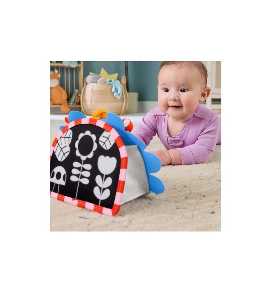 Fisher-Price Spiegel Mini Entdecker