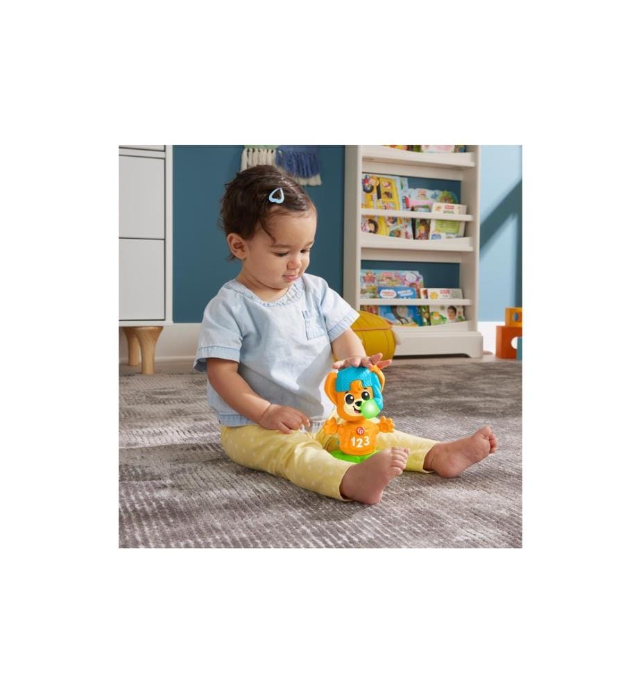 Fisher-Price Beat Bande Spring & Sing Renard Bruno -FR-