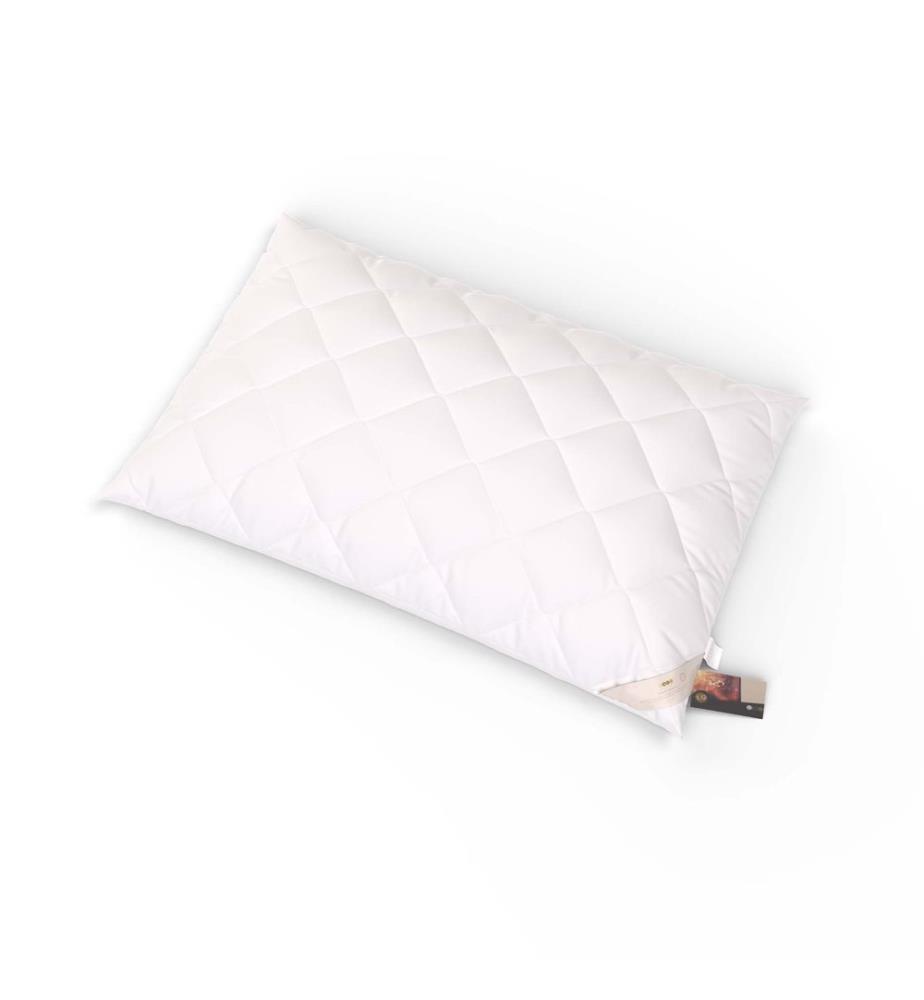 Kissen antiallergisch Chemnitz - 65 x 100 cm