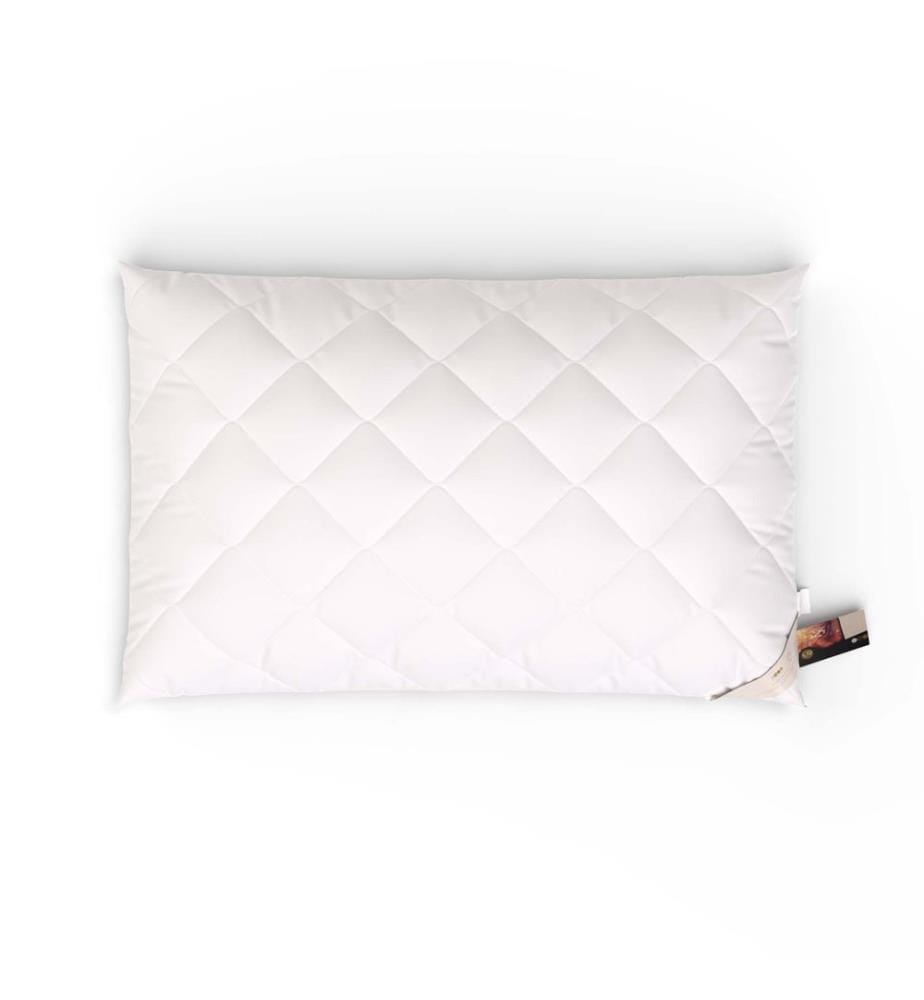 Kissen antiallergisch Chemnitz - 65 x 100 cm