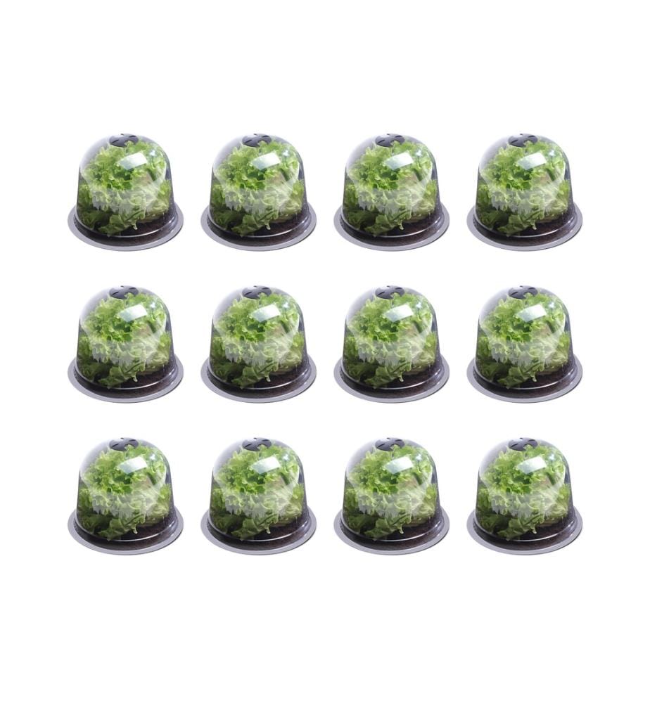 12er-Set Salatglocken - Schwarz und Transparent
