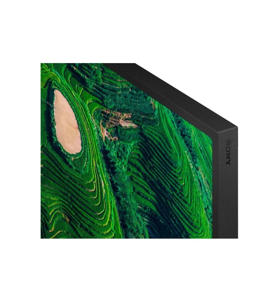 Sony Public Display FW-65BZ35PB 65