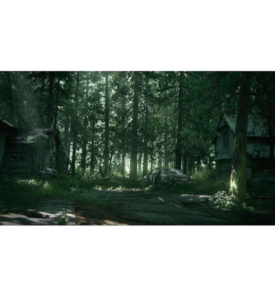 Sony The Last of Us Part II