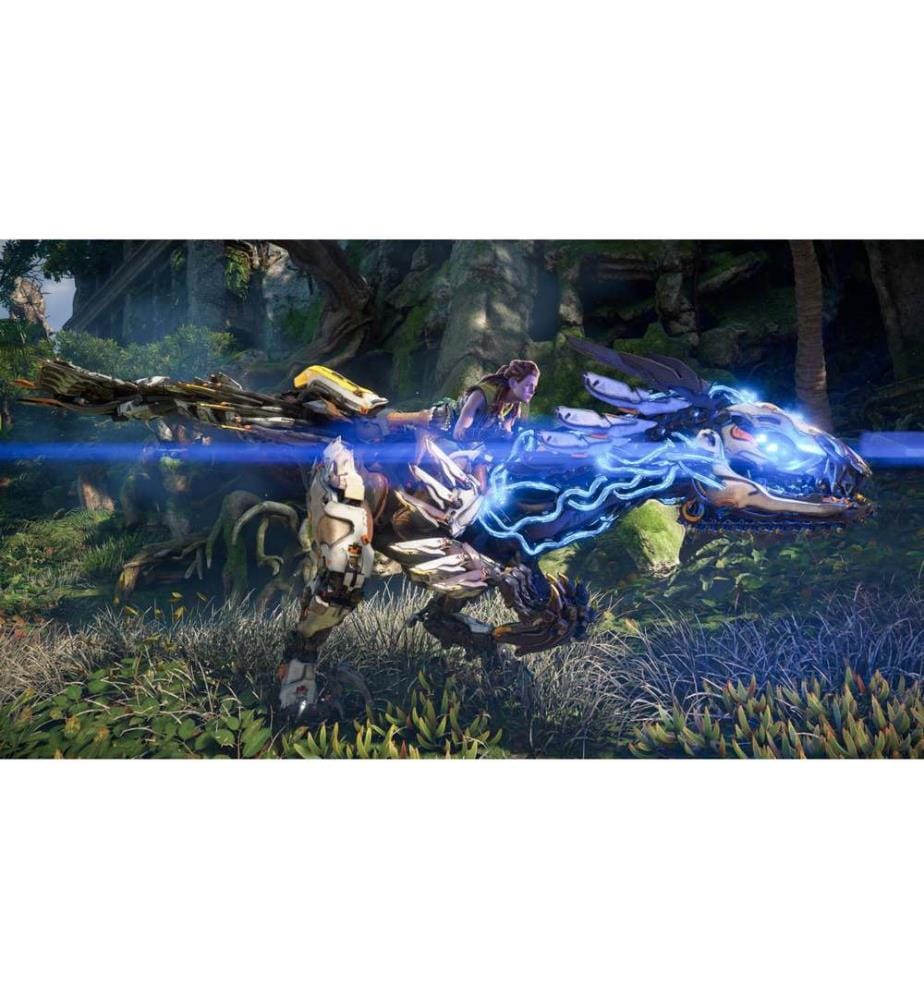 Sony Horizon Forbidden West (Box)