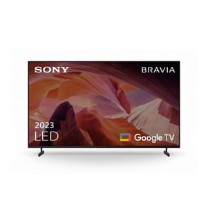 Sony Public Display FWD-65X80L 65'