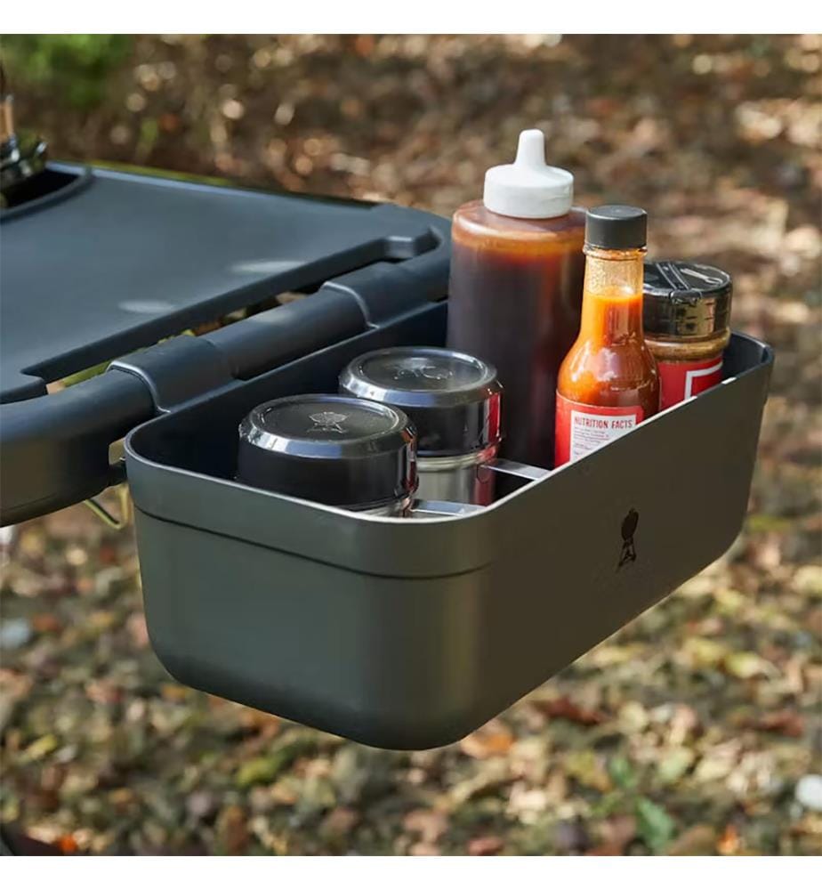 Traveler® barbecue à gaz portable - Noir