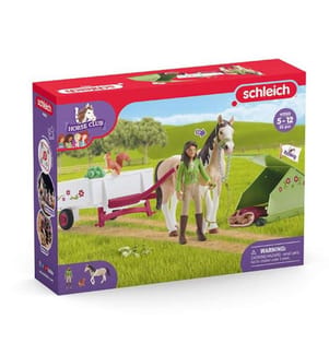 42533 - Horse Club Sarahs Campingausflug