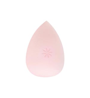 Brushworks Complexion Sponge hydrophile pour le fond de teint et la poudre