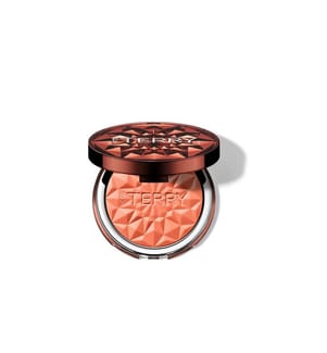 by terry Tea to Tan Powder Blush N2 - Melon Melody