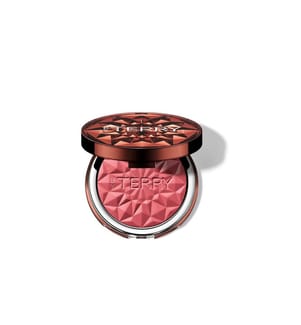 by terry Tea to Tan Powder Blush N6 - Spicy Song