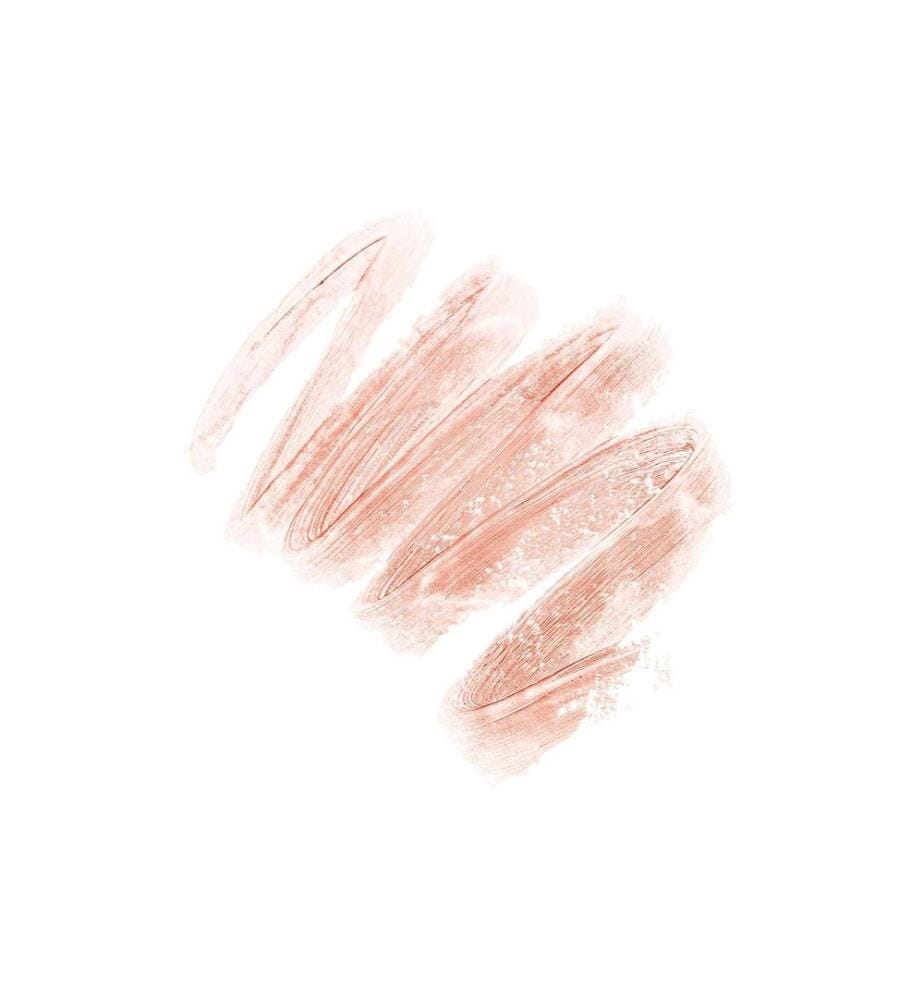 Diego dalla Palma Protect My Lips 3.5 g