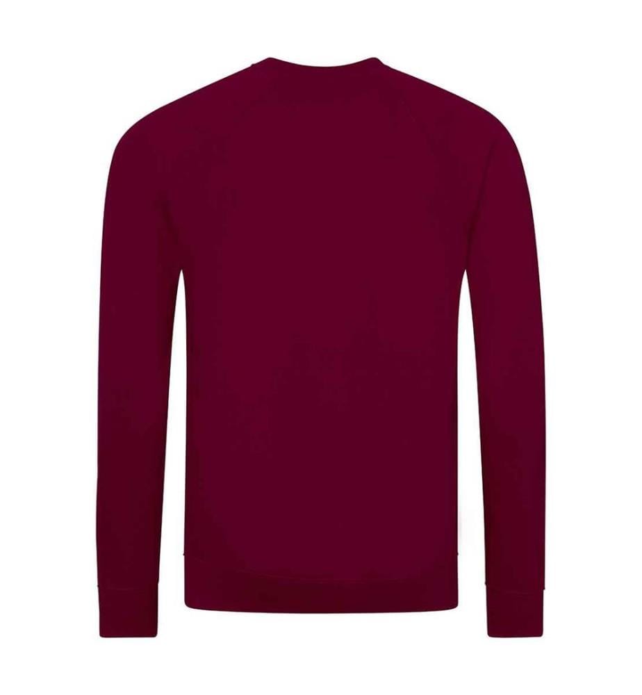 Awdis - "Academy" Sweatshirt für Kinder Raglanärmel
