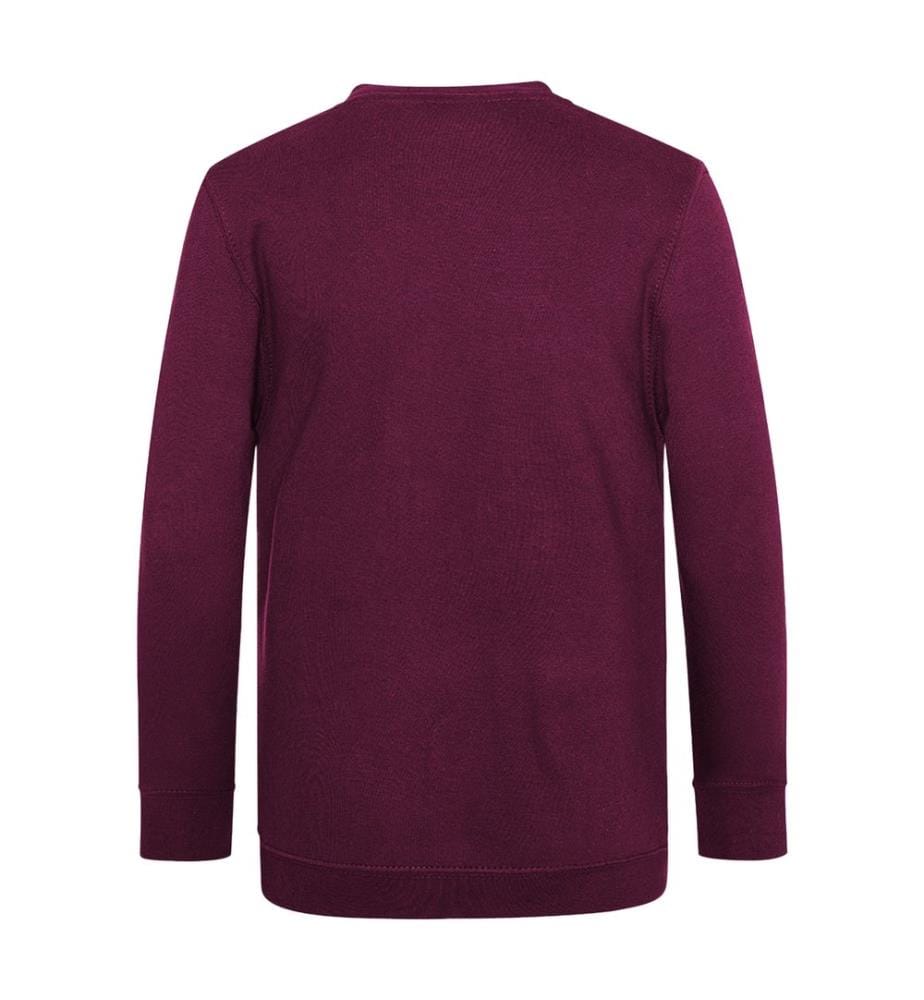 AWDis Academy Kinder Junior Schul Sweatshirt mit V-Ausschnitt