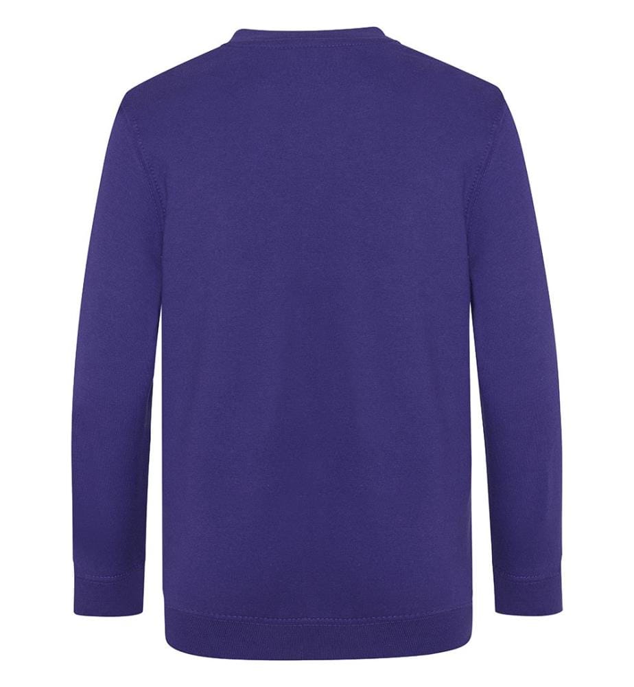 AWDis Academy Kinder Junior Schul Sweatshirt mit V-Ausschnitt