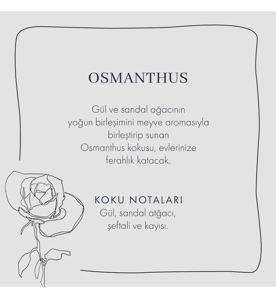 Osmanthus Raumduft - Weiss