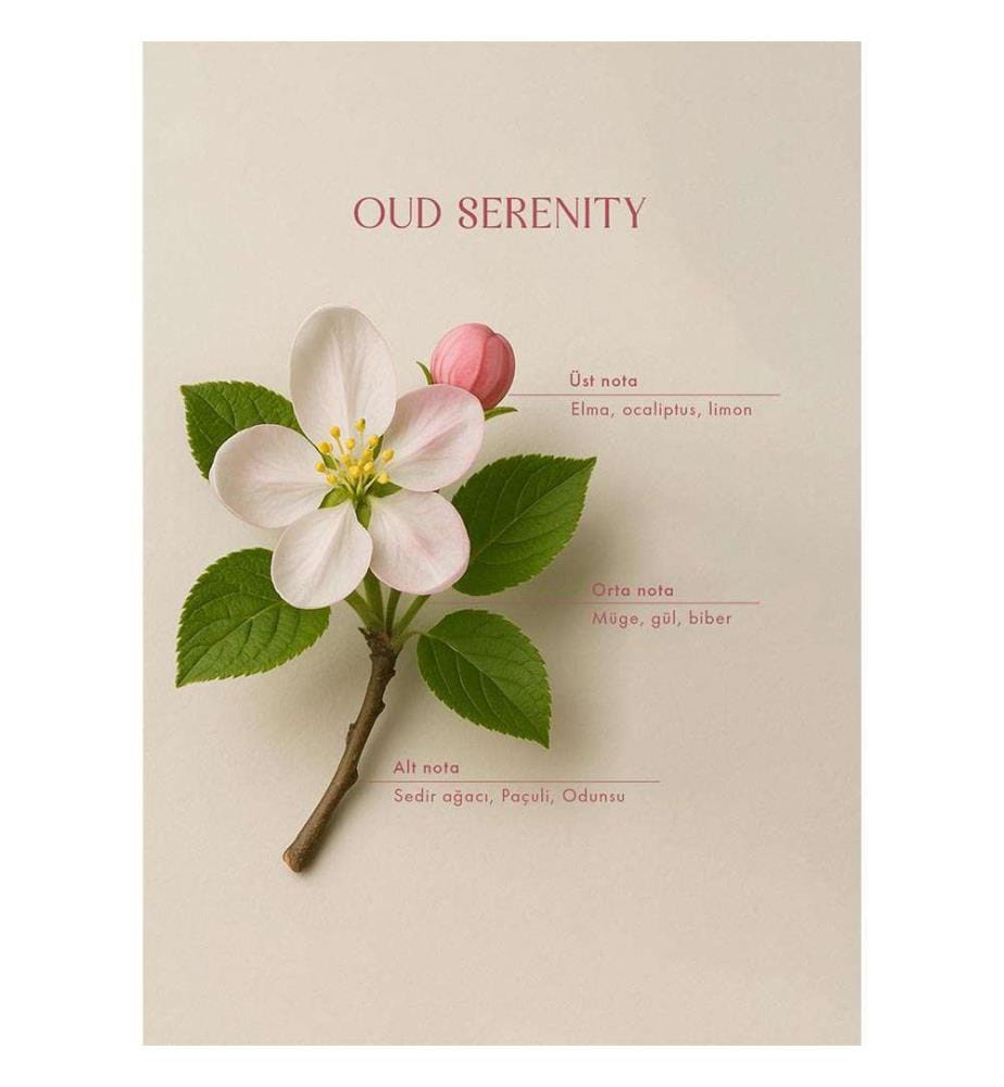 Oud Serenity room spray - 500 ml