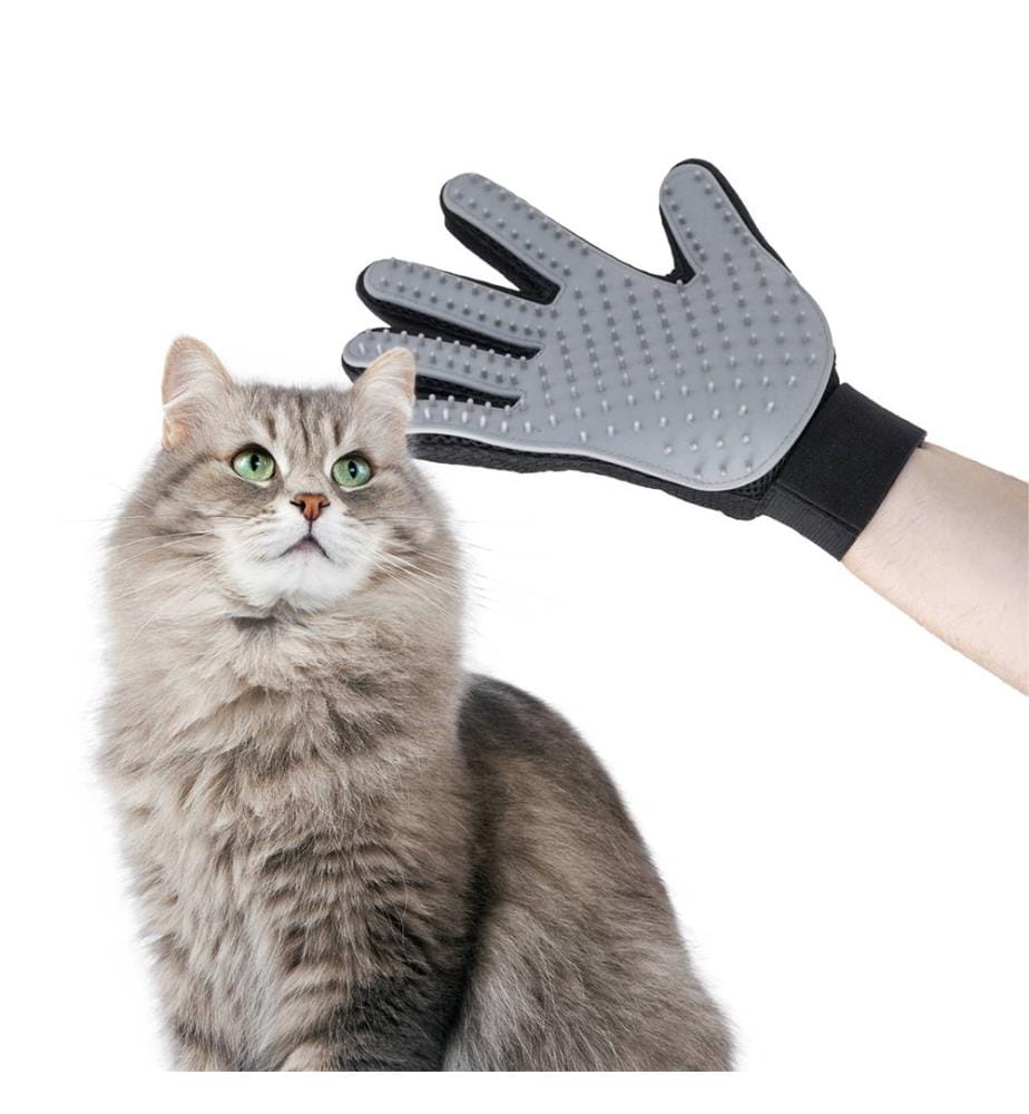 Brosse et Gants de Massage pour Animaux de Compagnie - Gris