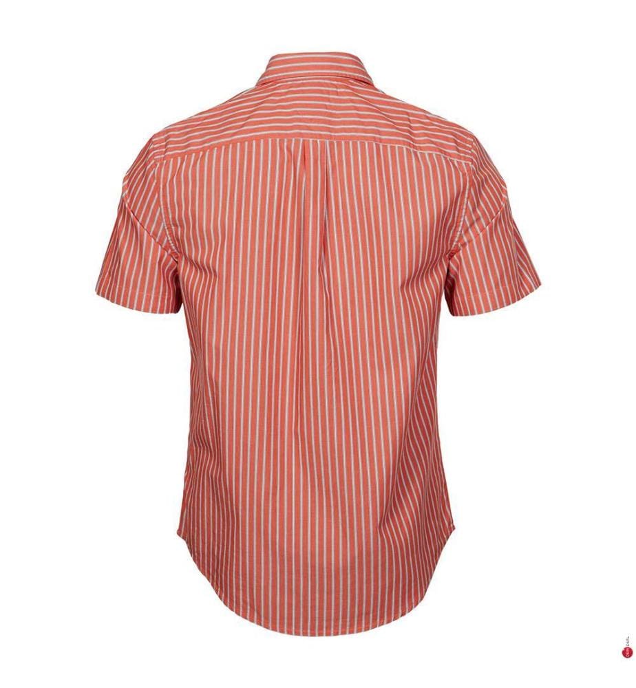 Chemise Flex Poplin Retro Stp - Orange brillant / Rayures