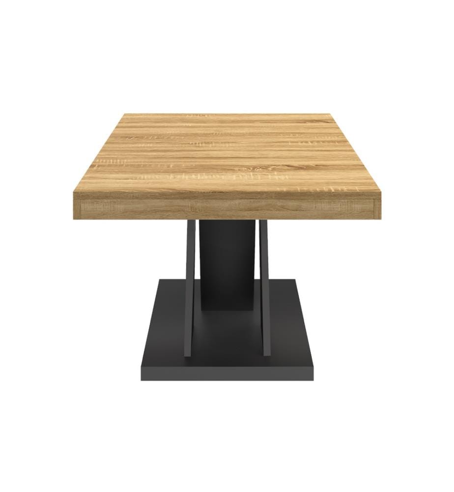 Table Basse Alexia 100 cm - Bois et Noir