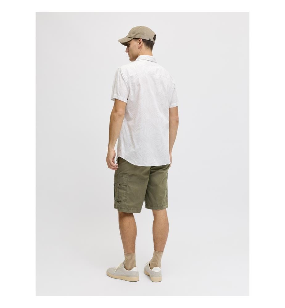 Short - Nuit d'olivier