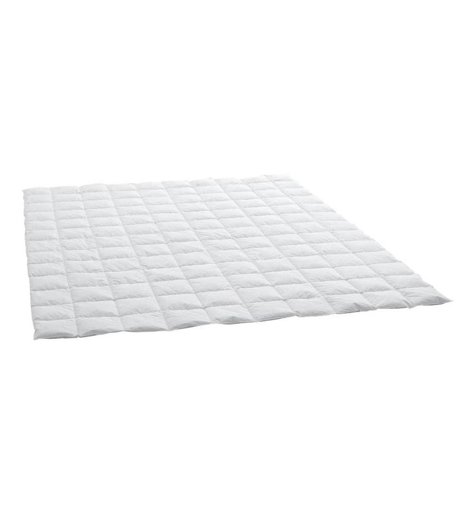 Daunenduvet Thea Clima Superlight - 240 x 240 cm