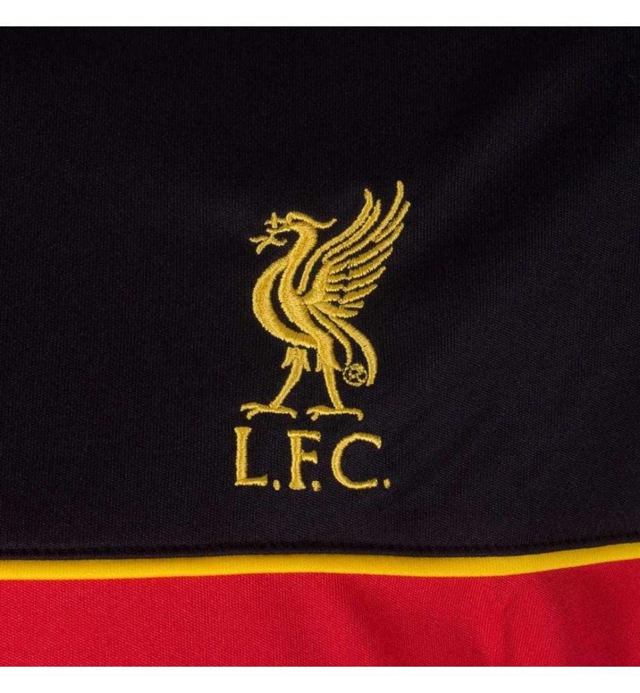 Liverpool FC - T-Shirt für Jungen, Polyester