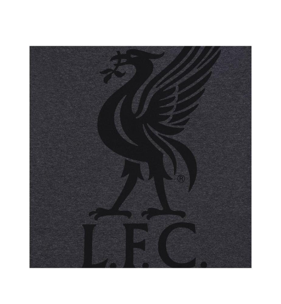 Liverpool FC - Schlafanzug mit Shorts für Herren