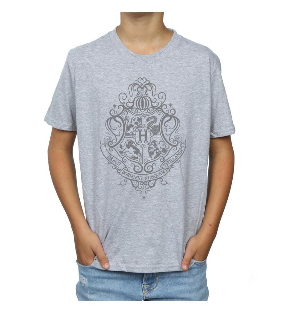 Harry Potter - T-shirt manches courtes motif/style emblème de Poudlard HOGWARTS DRACO DORMIENS - Garçon