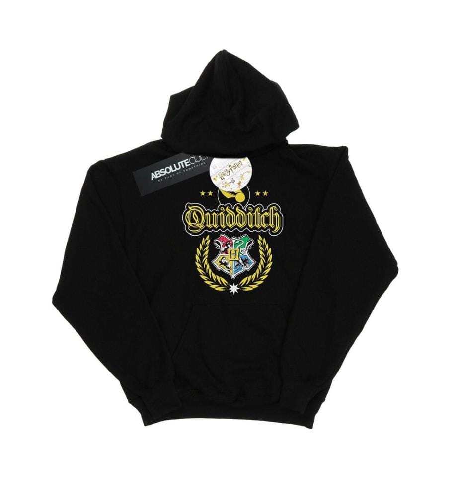 Harry Potter Boys Quidditch Crest Hoodie