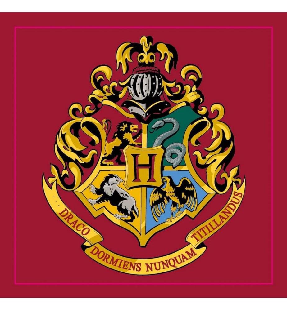 Harry Potter - Hogwarts Teppich