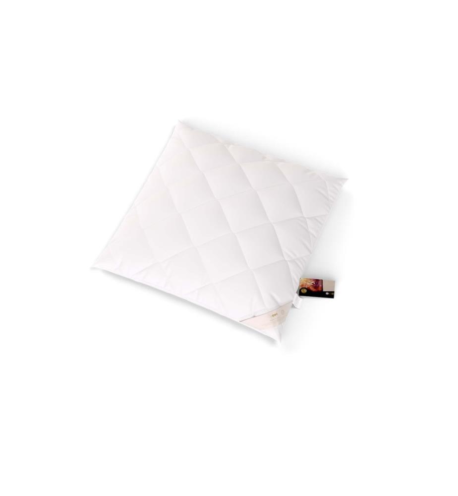 ERZSTEF - Coussin antiallergique Chemnitz - 65 x 65 cm hauteur