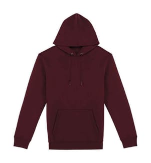 Native Spirit - Sweat à capuche - Adulte