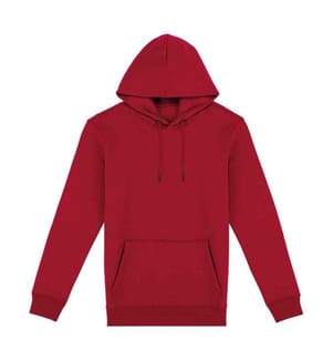 Native Spirit - Sweat à capuche - Adulte