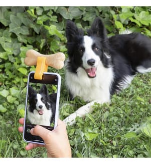 Selfie-Clip für Haustiere Pefie - Orange