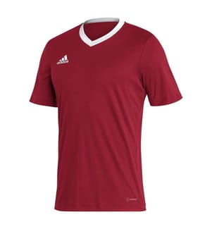 Adidas - "Entrada 22" Trikot für Herren