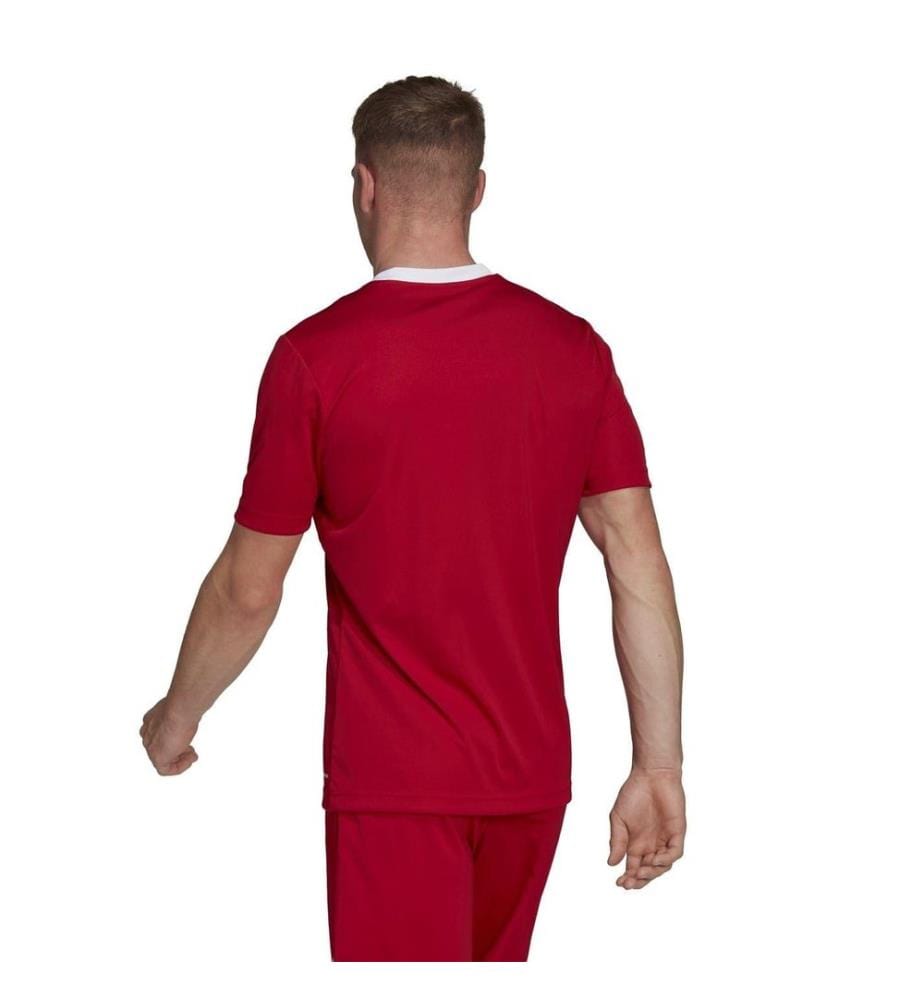 Adidas - "Entrada 22" Trikot für Herren