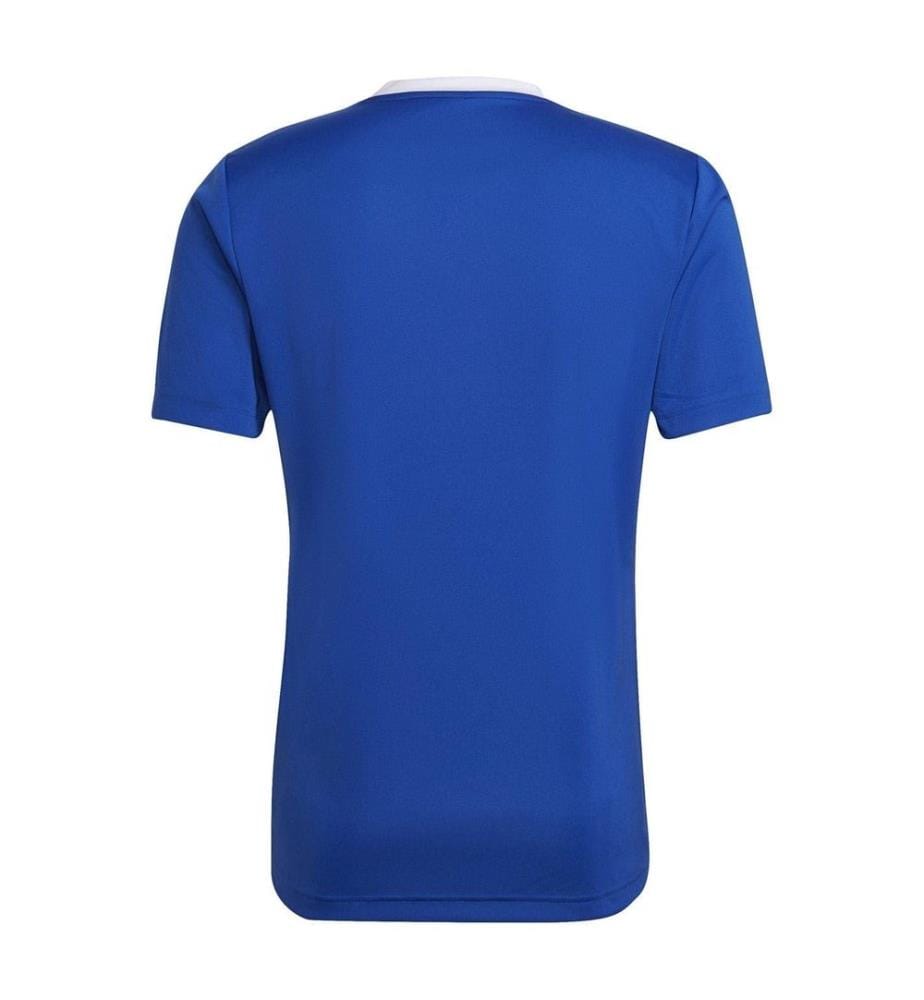 Adidas - T-shirt entraînement ENTRADA - Homme