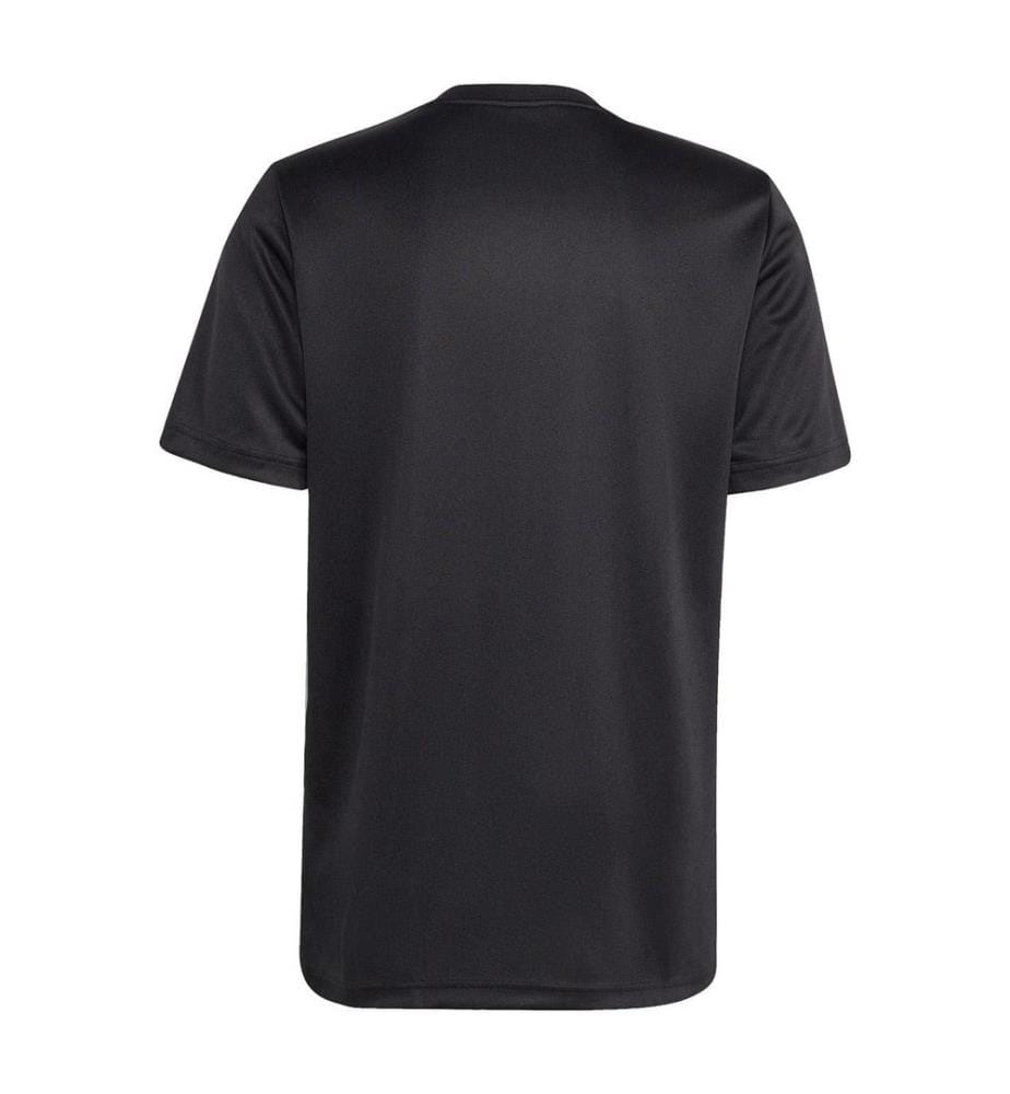 Adidas - Maillot motif/style New Zealand All Blacks - Homme