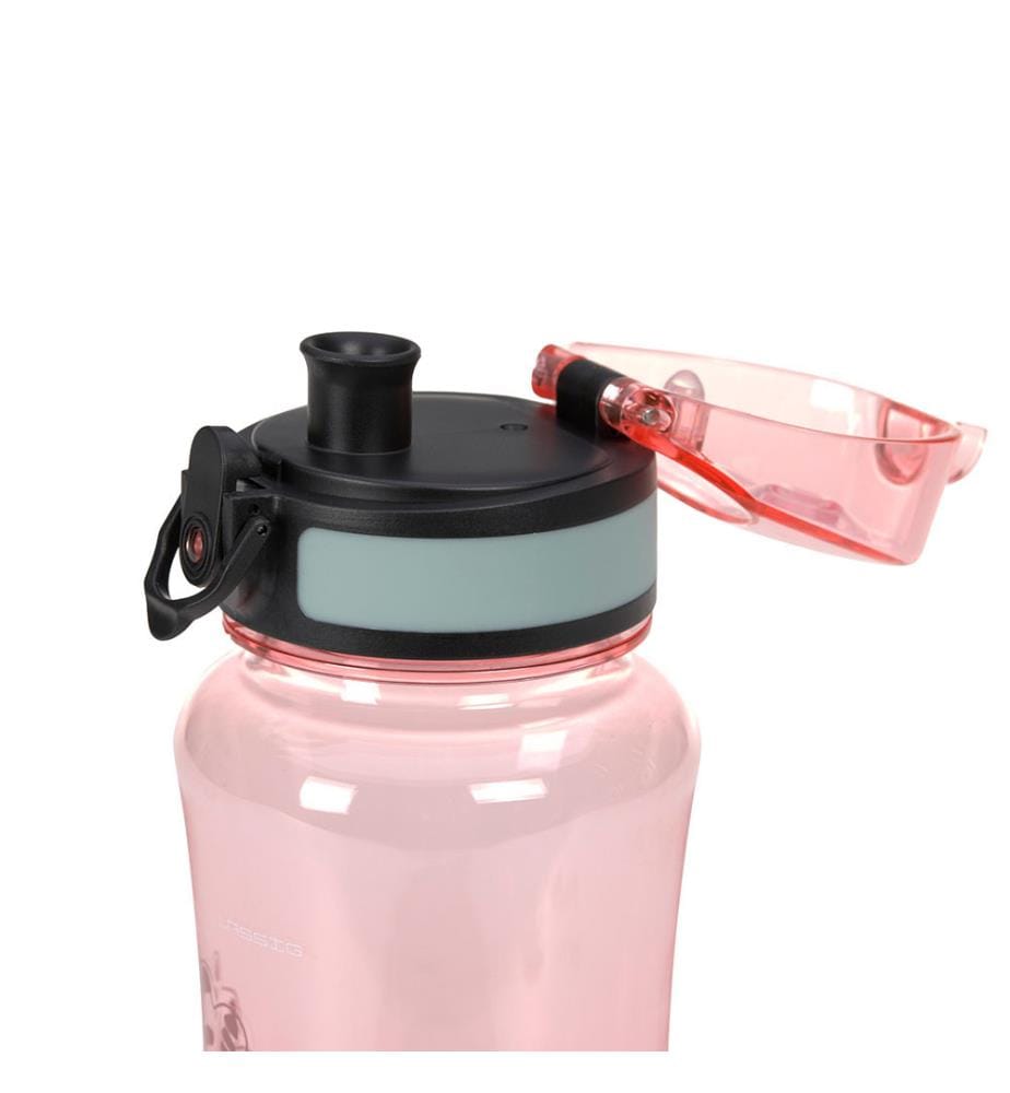 Lunchbox+bouteille Dino Rose