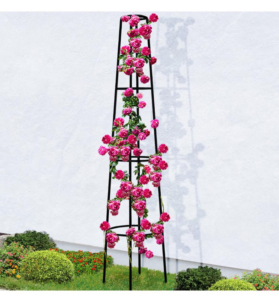 Tuteur pour Rosier en Métal 200 cm - Vert