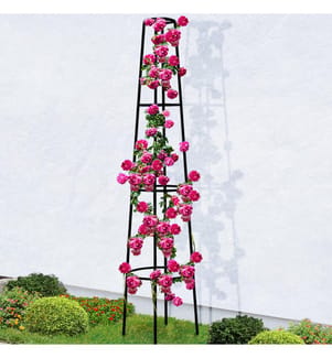 Tuteur pour Rosier en Métal 200 cm - Vert