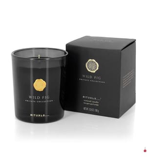 Duftkerze Wild Fig - 360 g