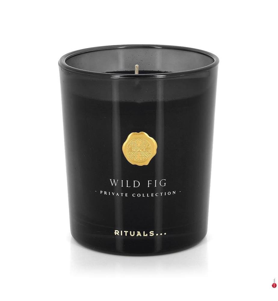 Duftkerze Wild Fig - 360 g