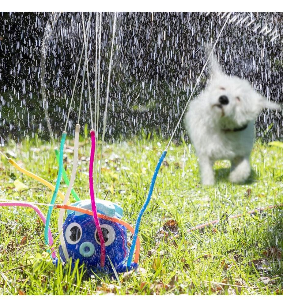 Watering Toy - Blue