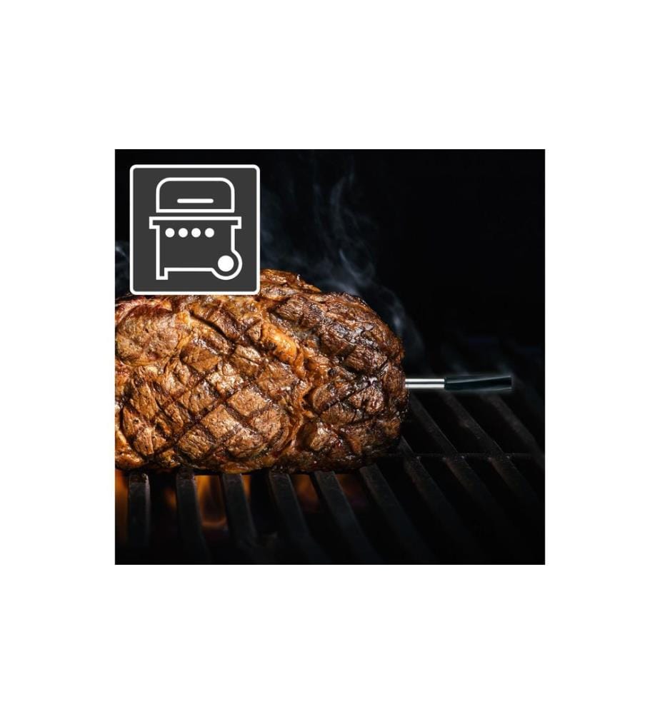 Laserliner Thermomètre à viande ThermoControl Air