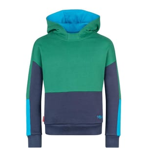 Rondane Pullover - dschungelgrün und marineblau