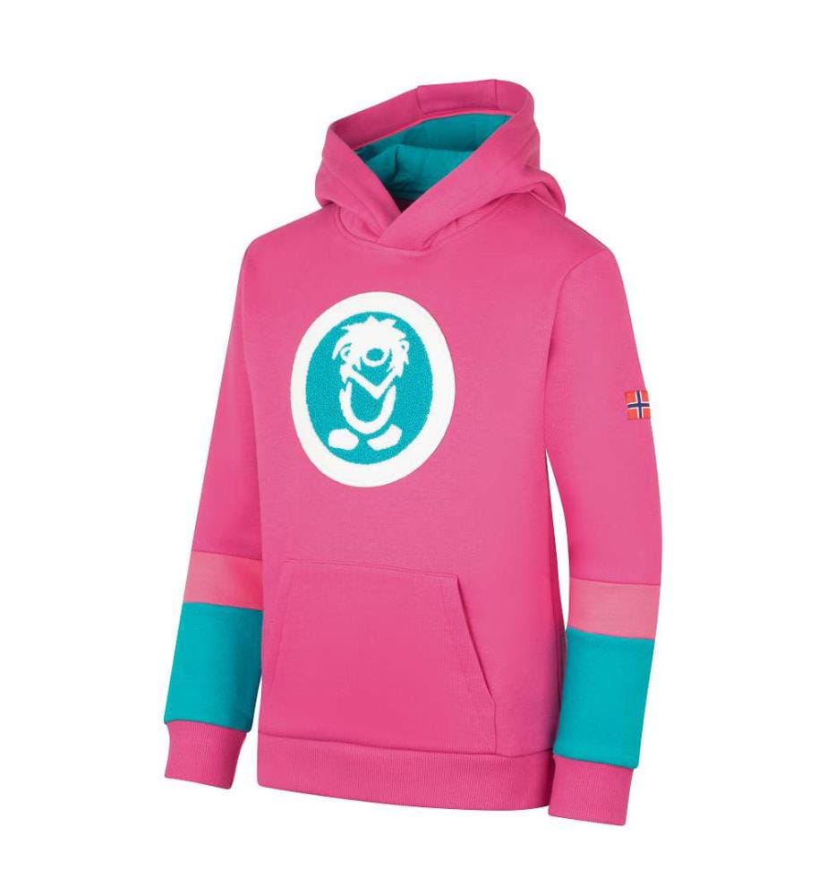 Kapuzenpulli - Hellbeere/Dunkeltürkis/Hellmagenta