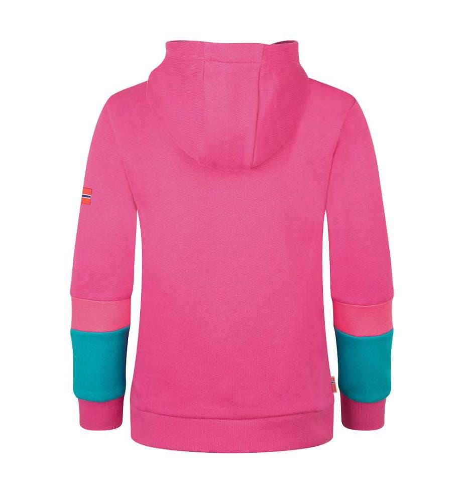 Kapuzenpulli - Hellbeere/Dunkeltürkis/Hellmagenta