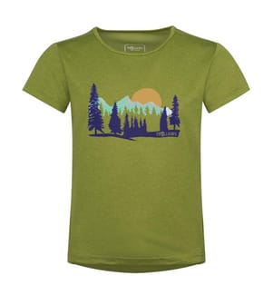 Gudvangen Shirt - Hecke grün